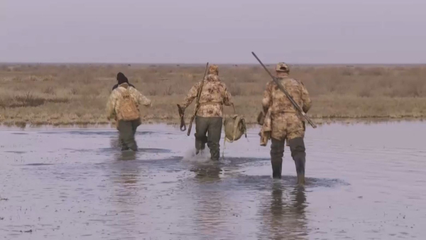 Түркістан облысында құстарды заңсыз атқандар ұсталды