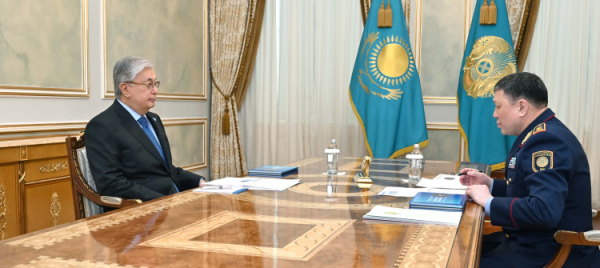 Мемлекет басшысы ІІМ Ержан Сәденовті қабылдады