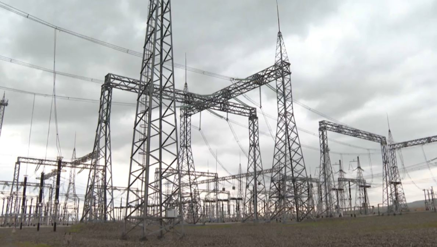 Елде тоқ тұтыну көлемі артады