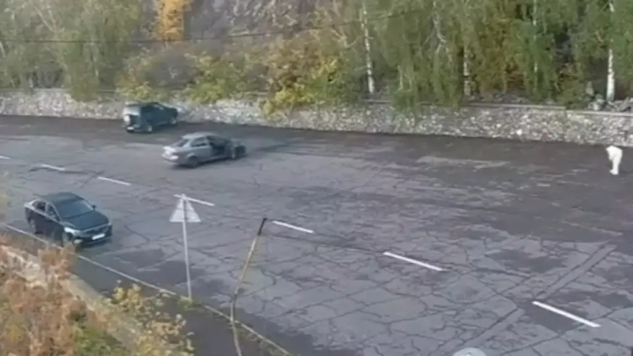 Поездка за 2,5 млн тенге: пассажирка самовольно села за руль такси в ВКО