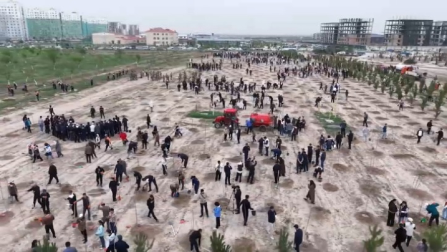 Более 2 тысяч деревьев высадили в Туркестане в рамках экоакции