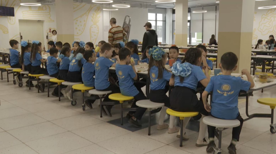 Правила санитарного госконтроля в детских организациях меняются в РК