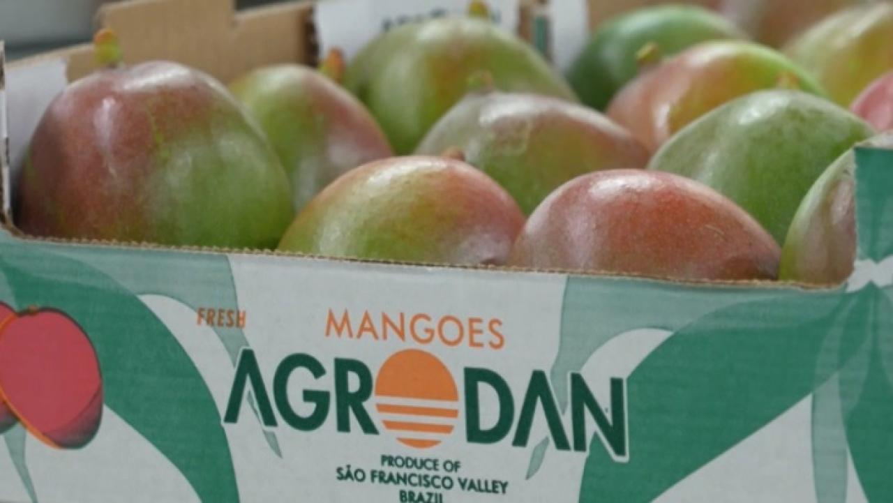 США повысят пошлины на импорт из Бразилии до 50%