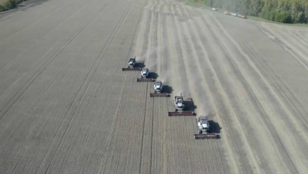 Аграрии СКО завершили уборку зерновых