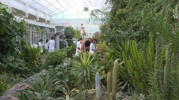 Таразские ученые и студенты создали датчики климат-контроля