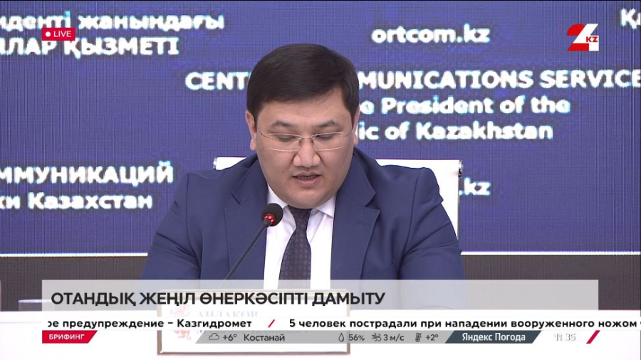 Отандық жеңіл өнеркәсіпті дамыту. Брифинг