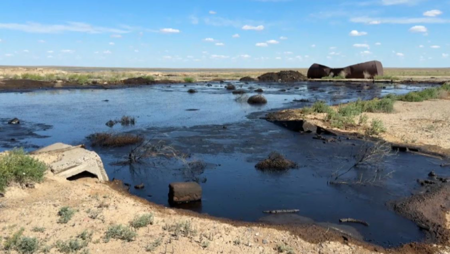 Атырау облысында қараусыз қалған мұнай қалдықтары өзенді ластап жатыр