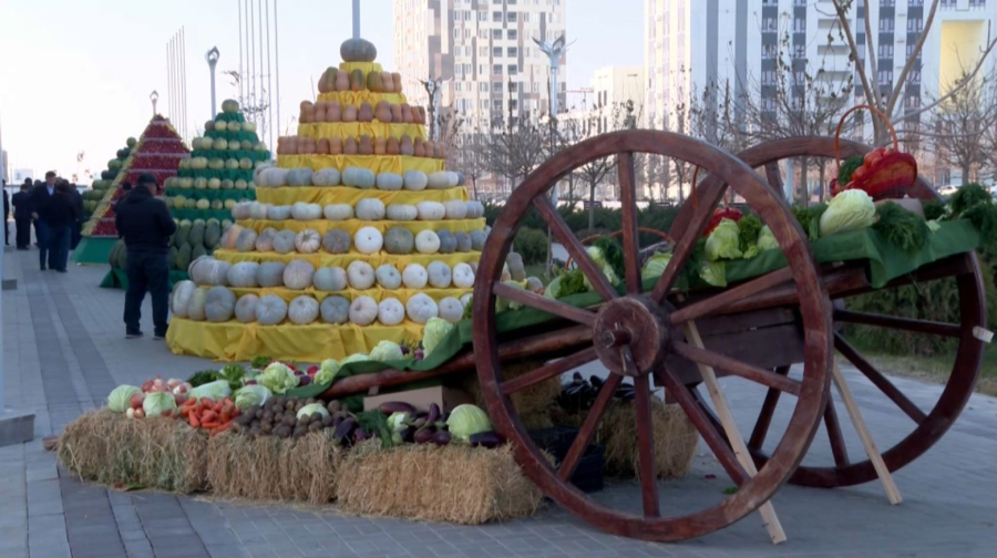 Түркістан облысында ауыл шаруашылығы мен тамақ өнеркәсібіне 207 млрд теңге инвестиция тартылды