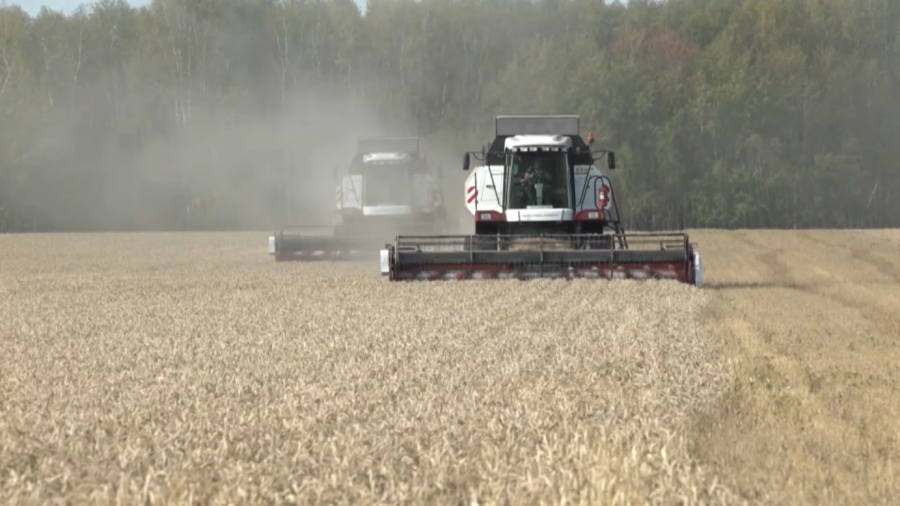 Шетелдік компания Қазақстандағы агросалаға $700 млн инвестиция салуға ниетті 