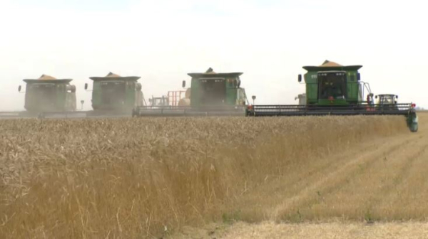 ₸700 млрд получат фермеры Казахстана на проведение весенне-полевых работ