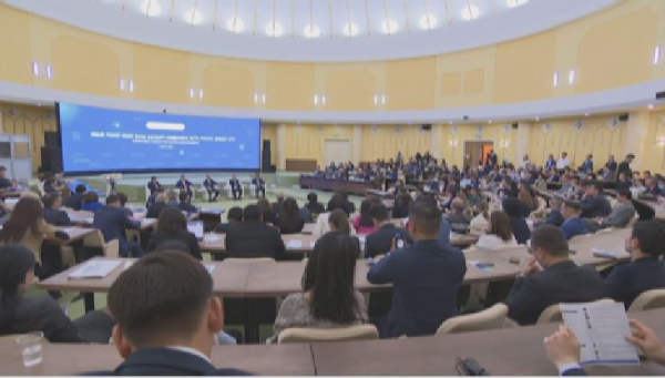 Зарубежные эксперты приняли участие в конференции по вопросам госуправления РК