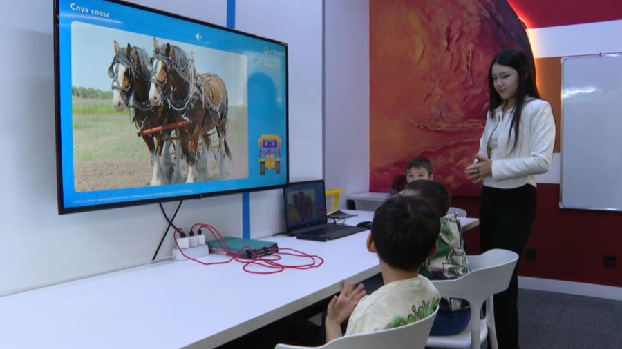 Елімізде алғашқы археологиялық деректер базасы жасалды