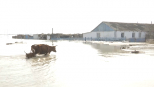 Больше 75 тысяч человек эвакуированы с начала паводков в Казахстане