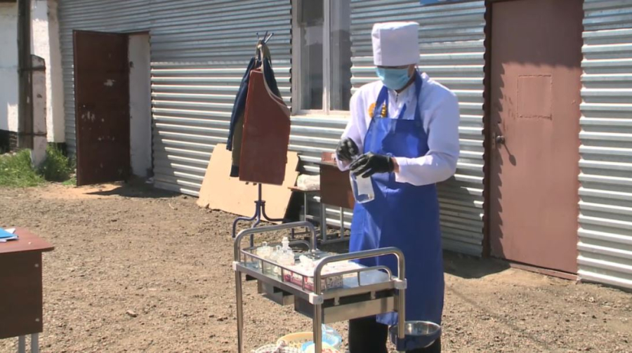 ШҚО-да болашақ ветеринарлар сайысы басталды