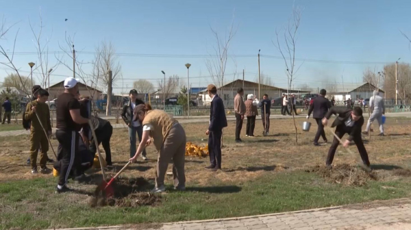 500 деревьев высадили эковолонтёры в Балхашском районе