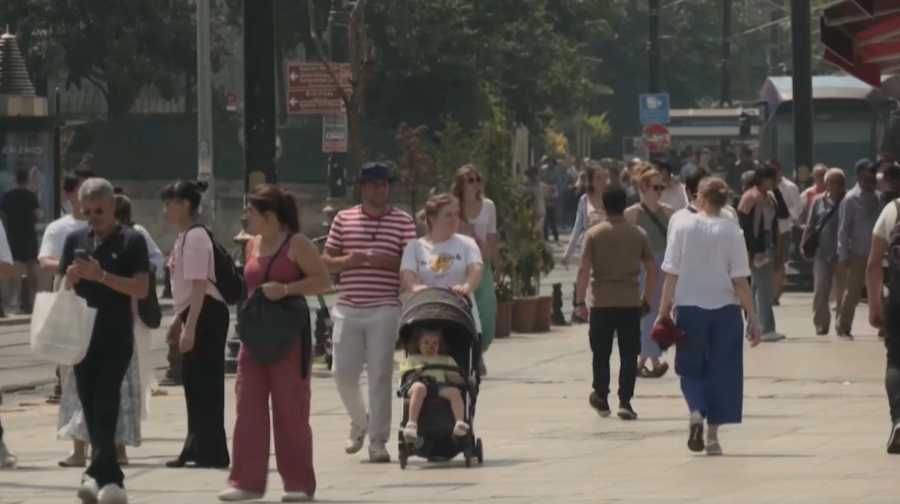 Рынок ЭКО: что готовы предложить разные страны