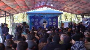 Форум рыбоводов прошел в Туркестанской области