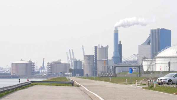 БҰҰ ЕЭК референдум өткізуді қолдайды