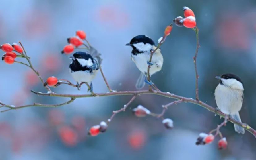 Какую погоду прогнозируют синоптики в Казахстане