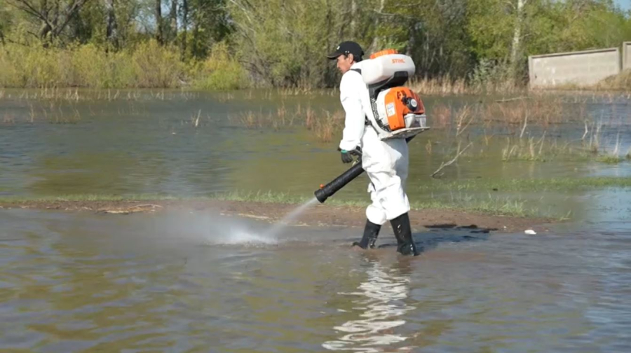 Площадь борьбы с гнусом увеличили в Павлодарской области