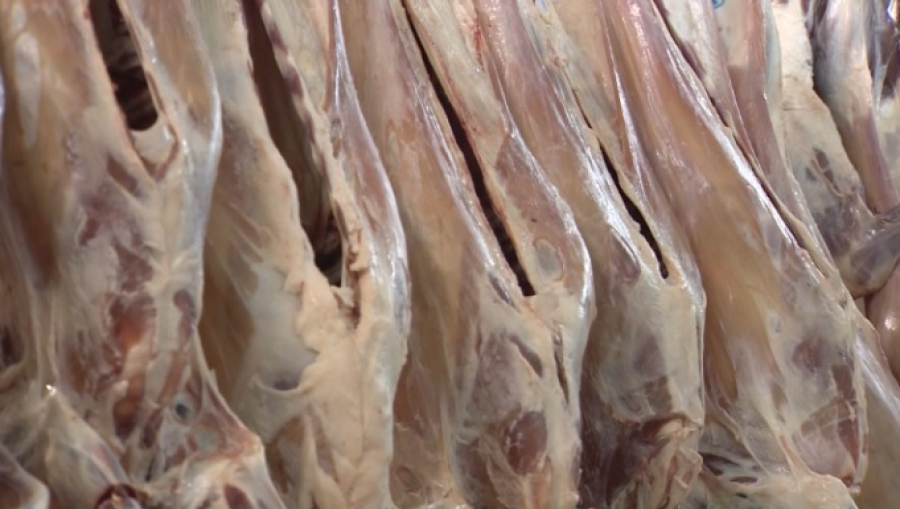 В Казахстане до 30 июня введены квоты на экспорт говядины