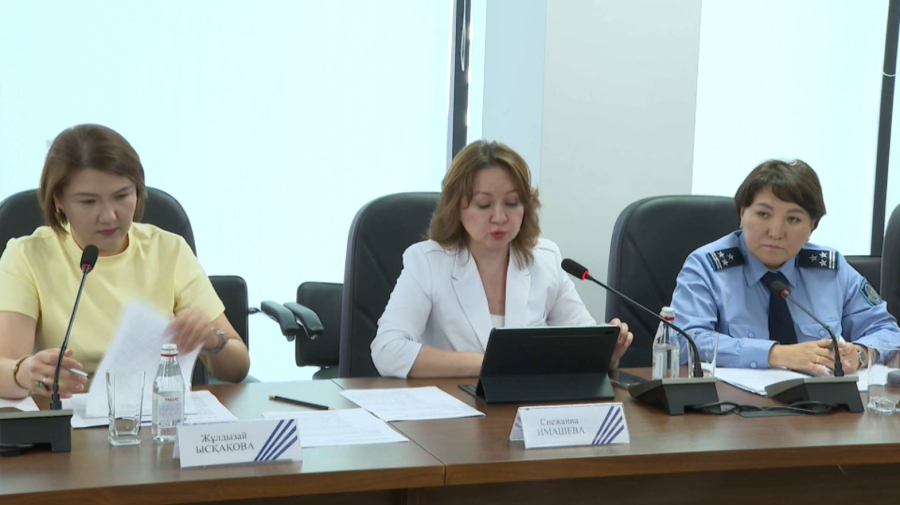 Отбасылық агрессорлар психологиялық түзету курсынан өтуге міндеттеледі
