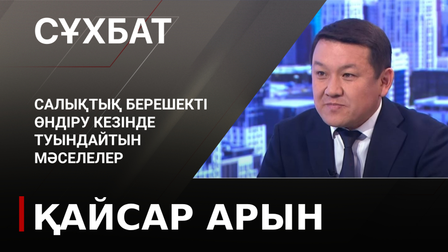 Салықтық берешекті өндіру кезінде туындайтын мәселелер. Қайсар Арын