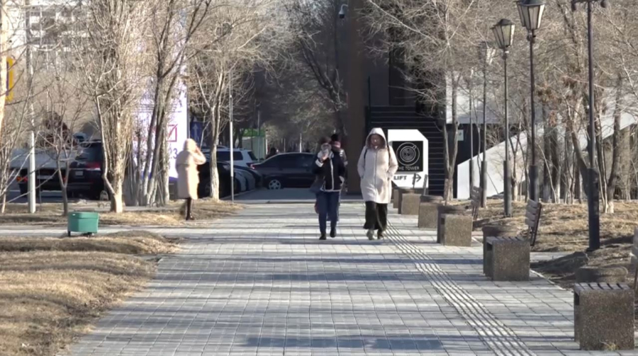 Жаңа Конституция жобасы: саяси жаңғырудың жалғасы. Сауалнама