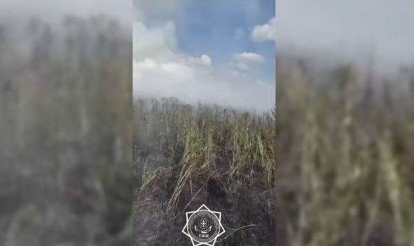 Пожар сухостоя в районе озера Талдыколь ликвидирован – МЧС