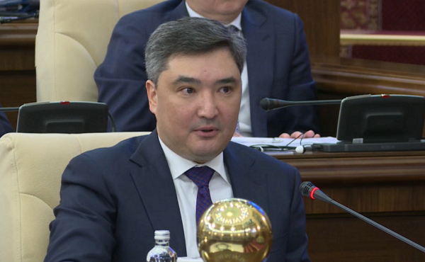 Премьер-министр экономикаға кедергі факторларды атады