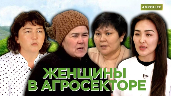 Женщины в агросекторе. Четыре истории успеха | AgroLife