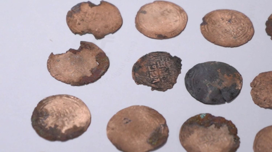 Древние бронзовые монеты обнаружили в Жамбылской области