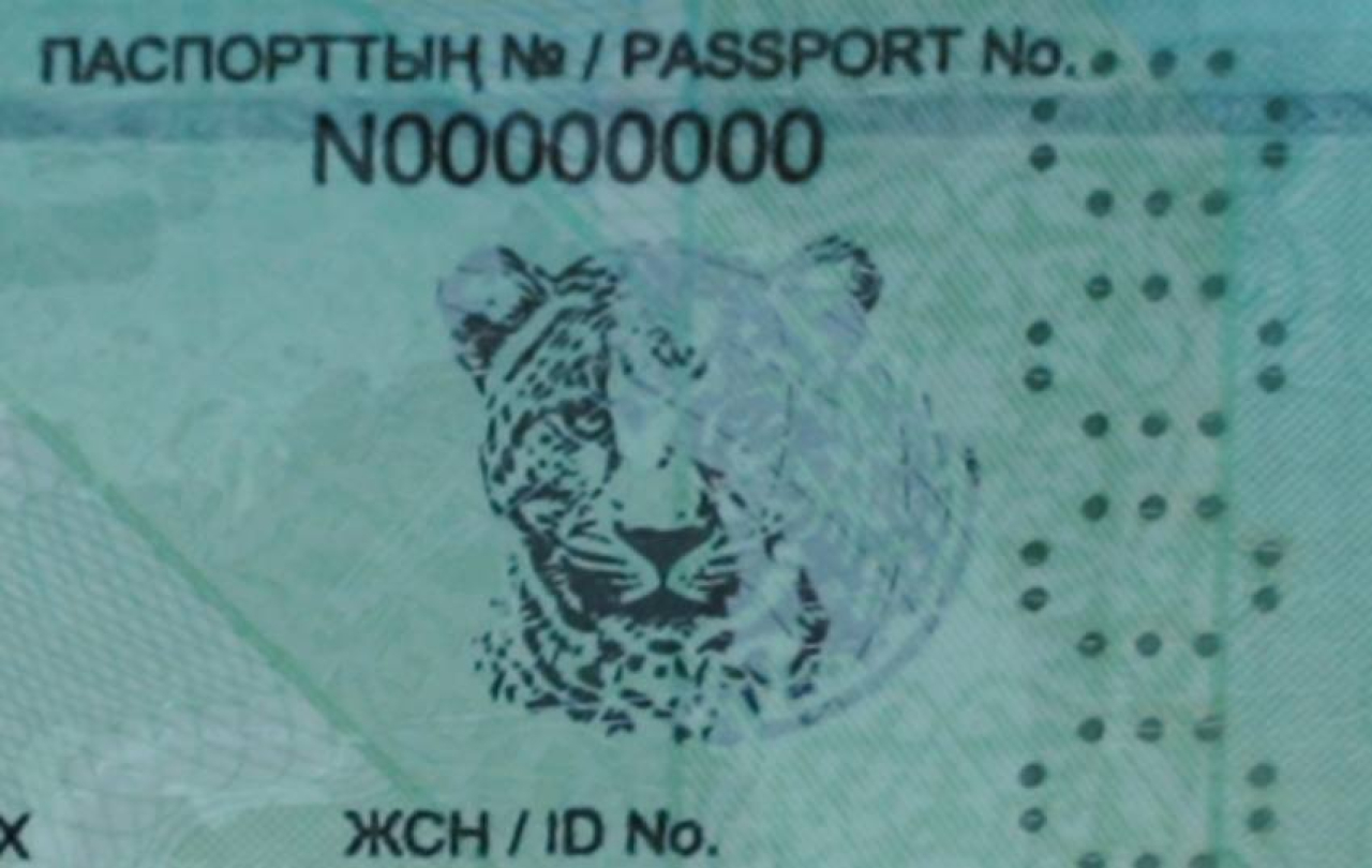 Казахстанский паспорт укрепил позиции в мировом рейтинге