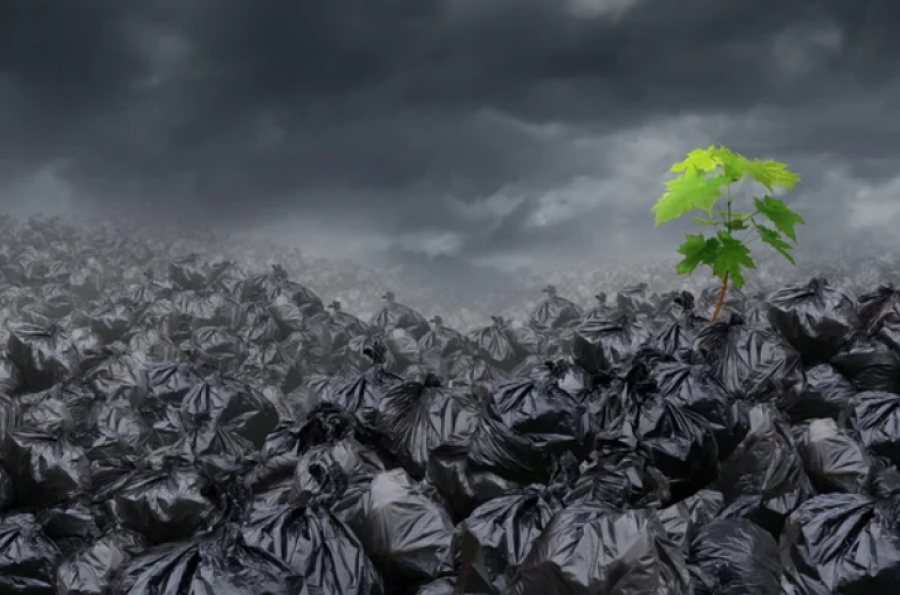 На ₸28,4 млрд оштрафовали предприятие в Павлодаре за отходы