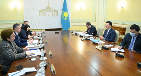 Госсоветник РК встретился с германскими парламентариями