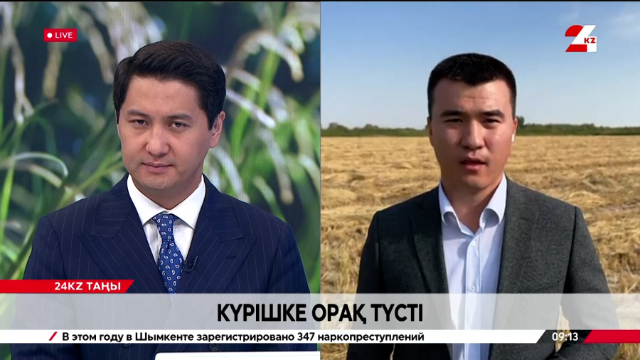 Күрішке орақ түсті. Асылжан Жарылқасынов