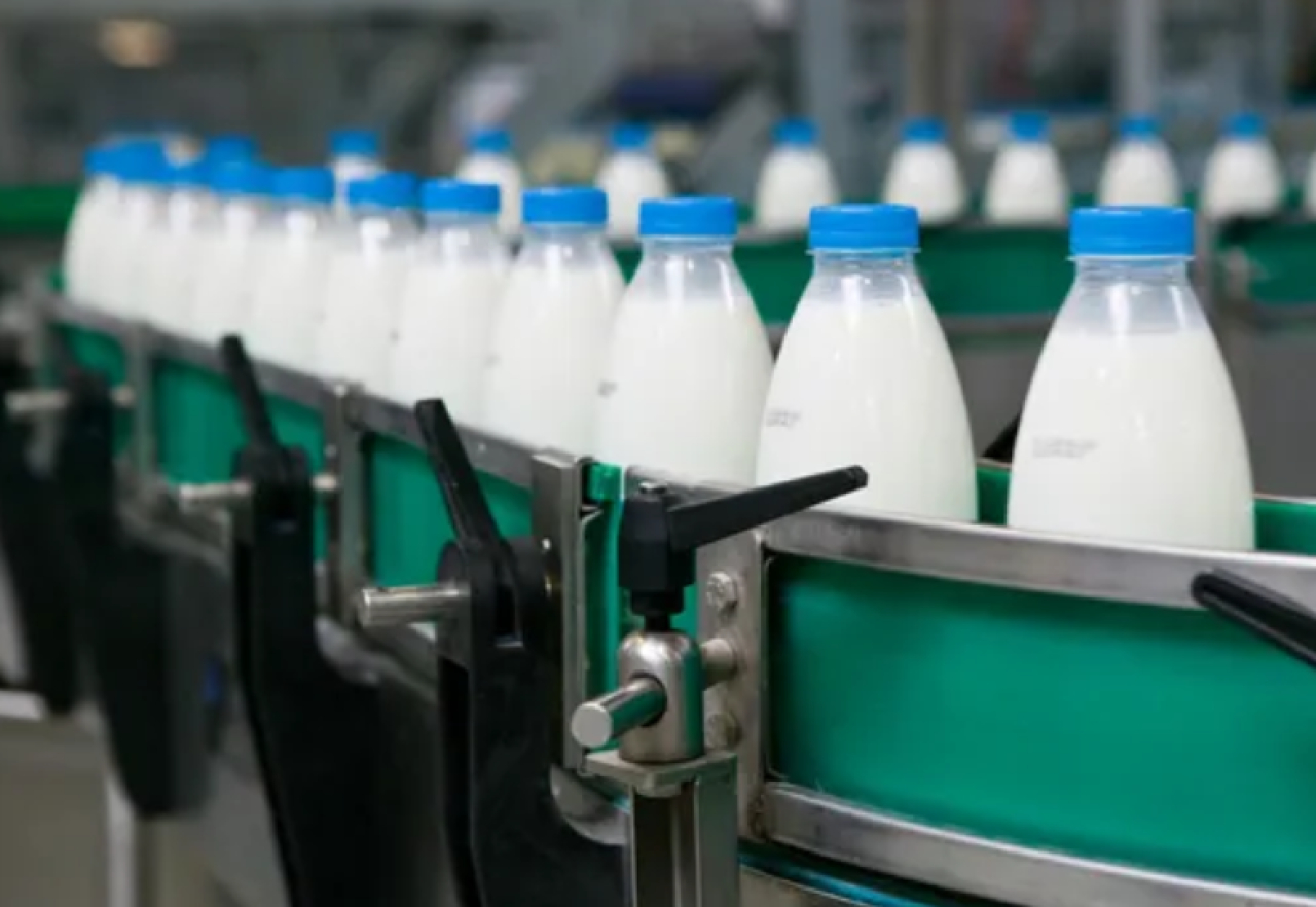 В Казахстане наладят производство гипоаллергенного молока