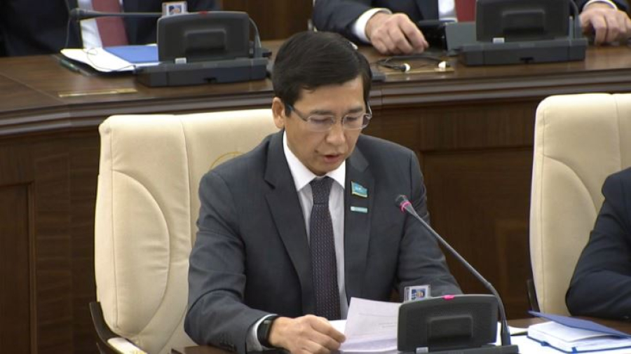 Государственный реестр психологов создадут в Казахстане