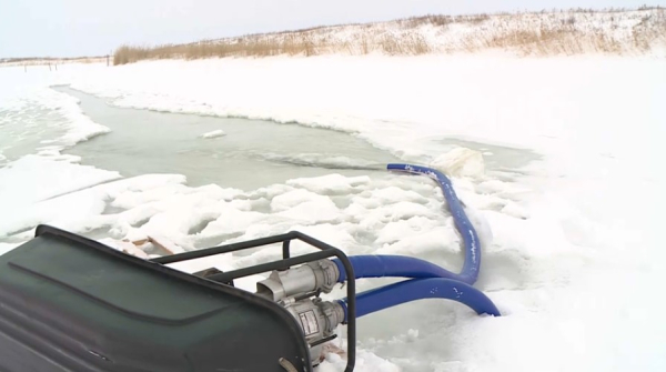Как спасают мелкие водоёмы от замора рыбы