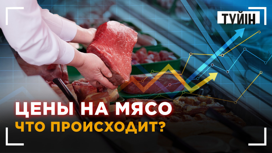 Урожай, мясо и цены на продукты. Что происходит в агросекторе Казахстана?