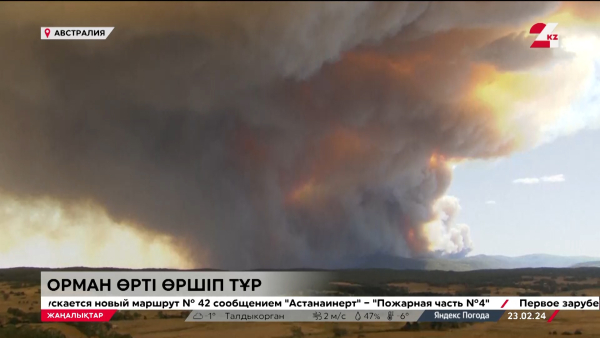 Әлемді әбігерге салған тілсіз жау