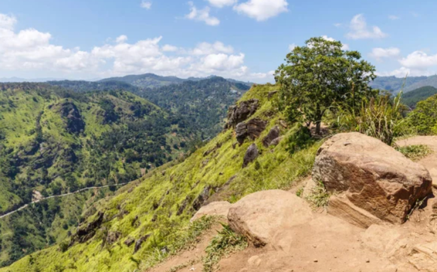 15 человек погибли в ДТП в Шри-Ланке