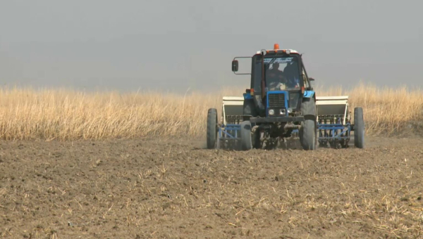 Қызылорда облысында көктемгі егін егу науқаны басталды