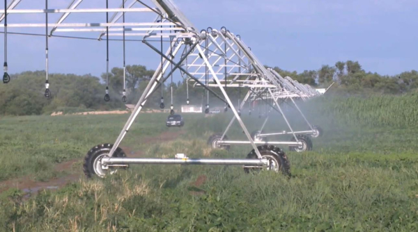 Ауыл шаруашылығындағы су үнемі 30%-ға жетті