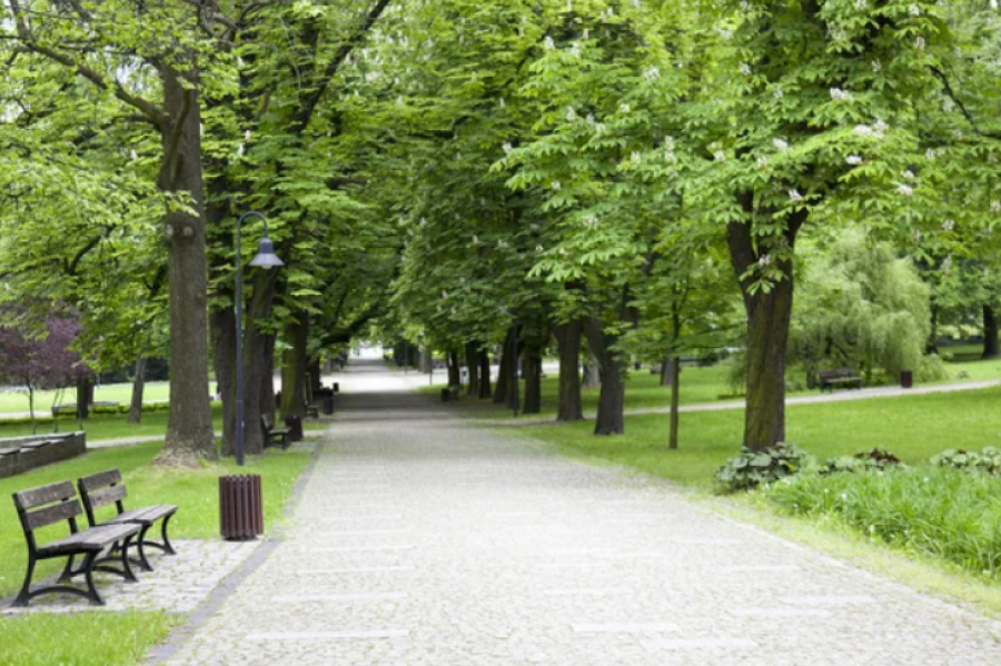  «Таза Қазақстан»: с начала года собрано более 121 тыс. тонн отходов