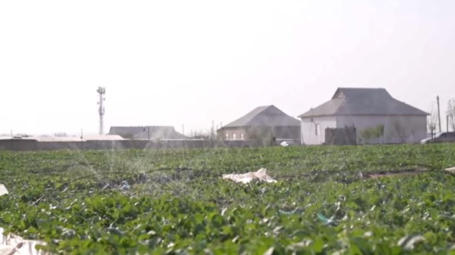 Дефицит воды устраняют в Туркестане