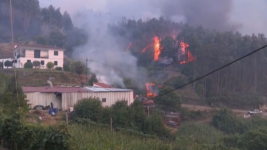 Португалияда орман өрті басылмай тұр