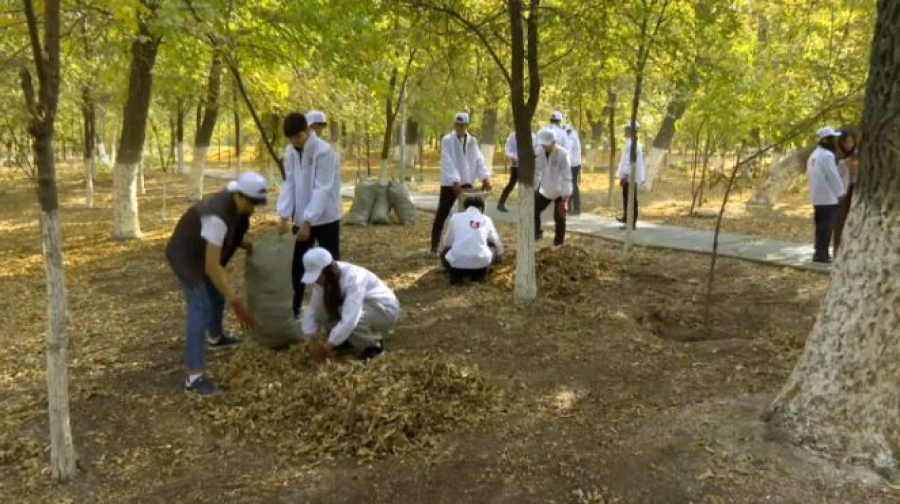 Экоакция «Таза Шым» прошла в Шымкенте