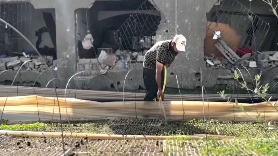 БҰҰ: Газа секторындағы жердің 95% егін егуге жарамсыз