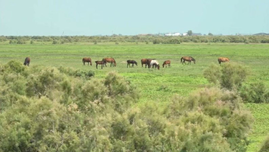 Новые соцобъекты появились в приграничных сёлах Атырауской области